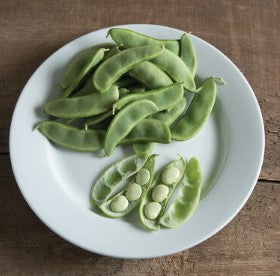 Bean - Lima Bean - Fordhood 242