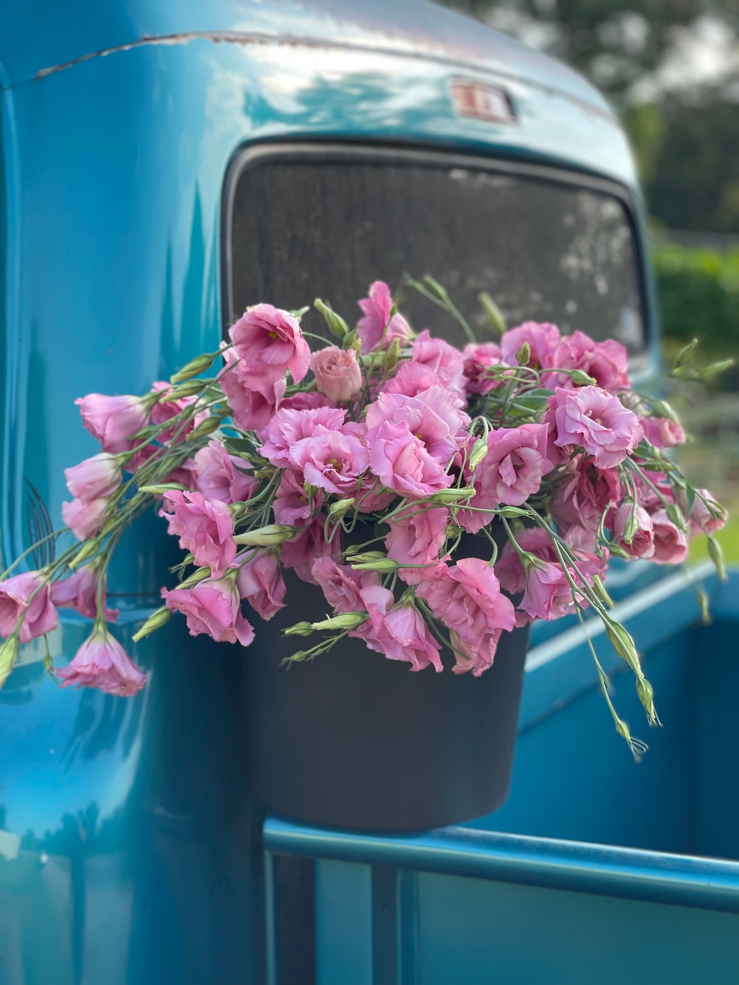 Bucket of Lisianthus