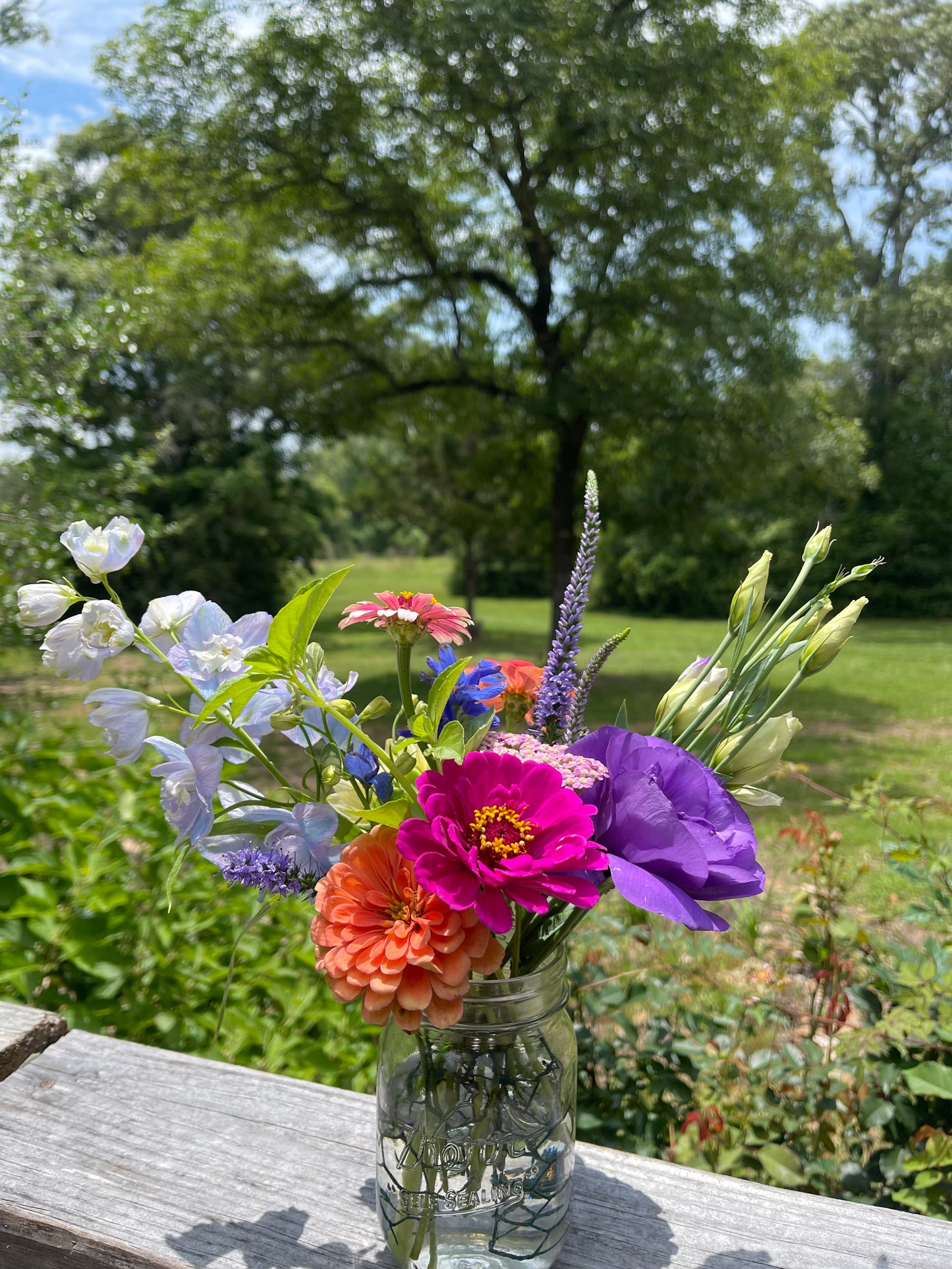 Fresh Flowers