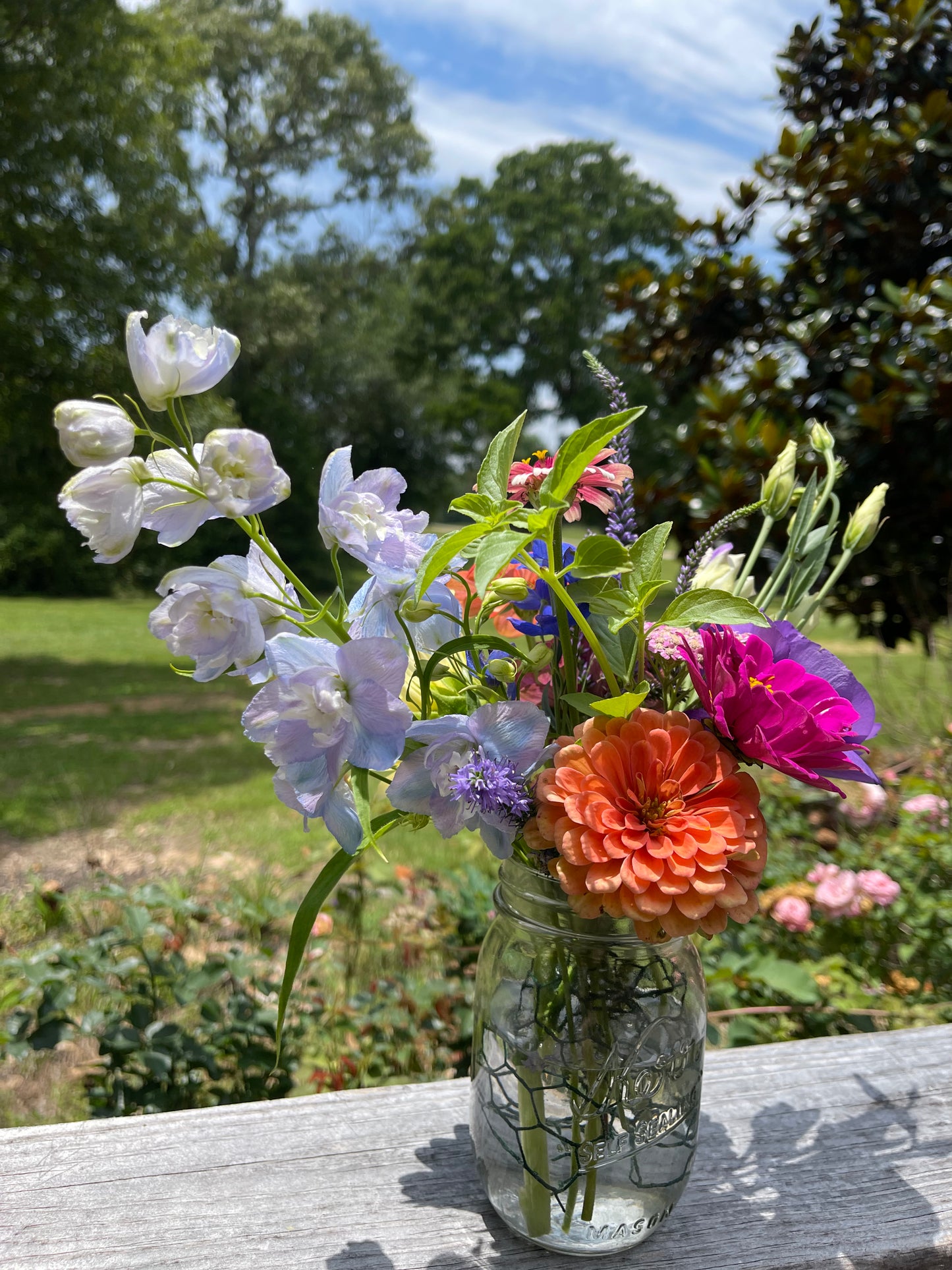 Fresh Flowers