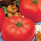 Tomato - Beef Master