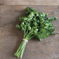 Parsley - Giant of Italy