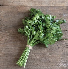 Parsley - Giant of Italy