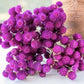 Gomphrena - QIS Series Purple