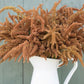 Amaranthus Cruentus Hot Biscuits