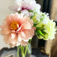 Peony Bundle