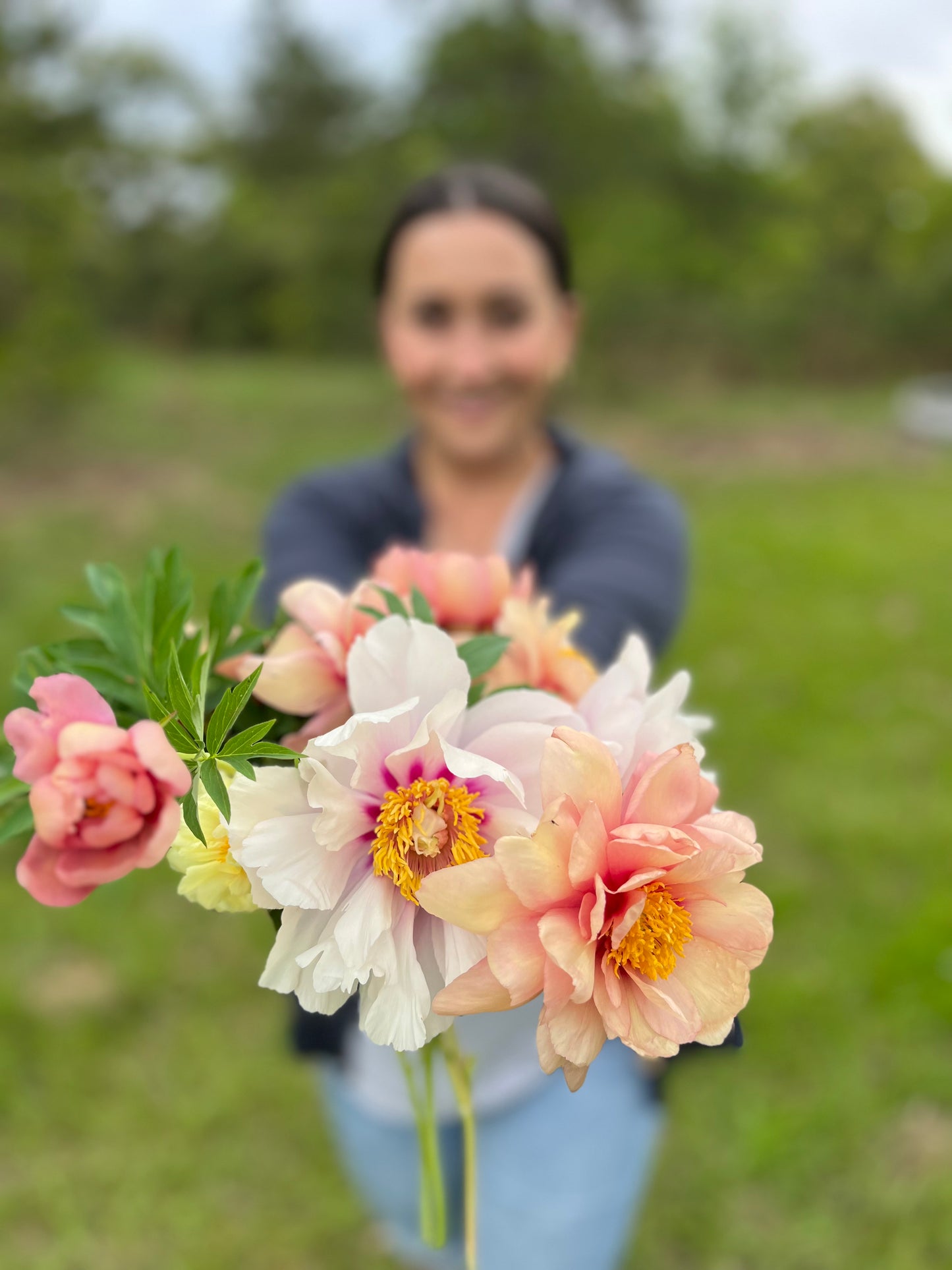 Peony Bundle