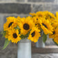 Sunflowers - Vincent's Choice