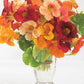 Nasturtium - Alaska Mix - Edible