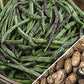 Bean - Rattlesnake Bean