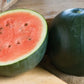 Watermelon - Sugar Baby