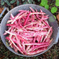 Bean - Dwarf Taylor Horticultural Bean