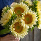 Sunflower - White Lite