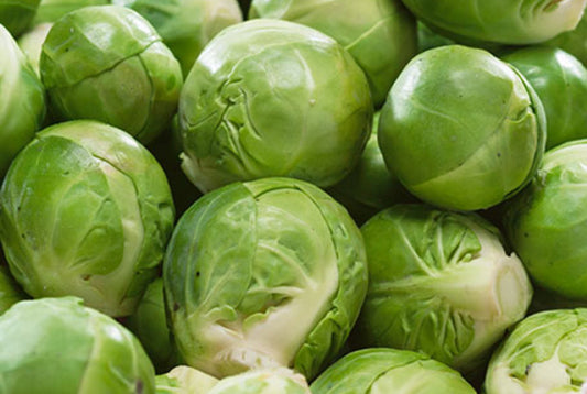 Brussel Sprouts - Catskill