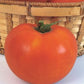 Tomato - Celebrity