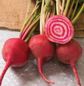 Beet - Chioggia Guardsmark