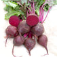 Beet - Detroit Dark Red