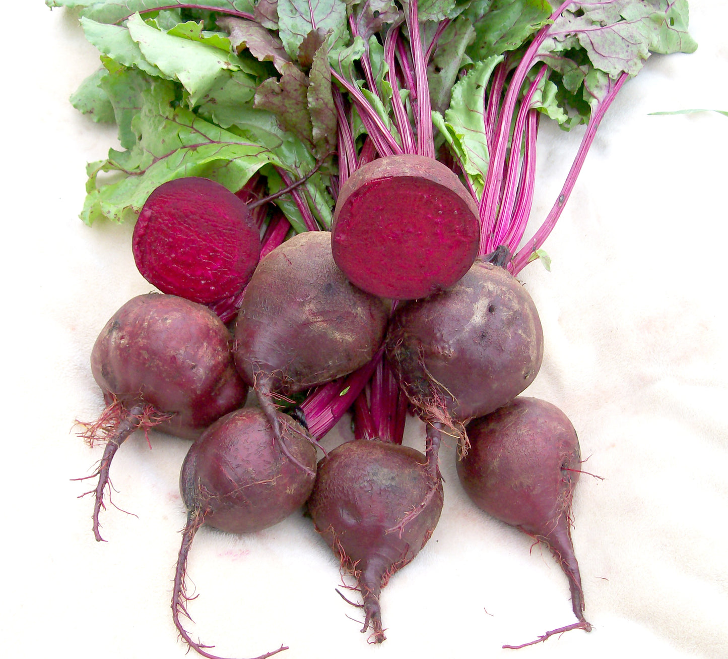 Beet - Detroit Dark Red