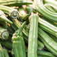 Okra - Emerald