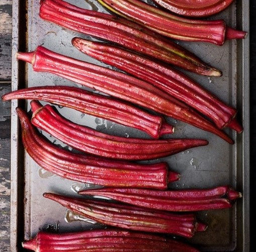 Okra - Red Burgundy